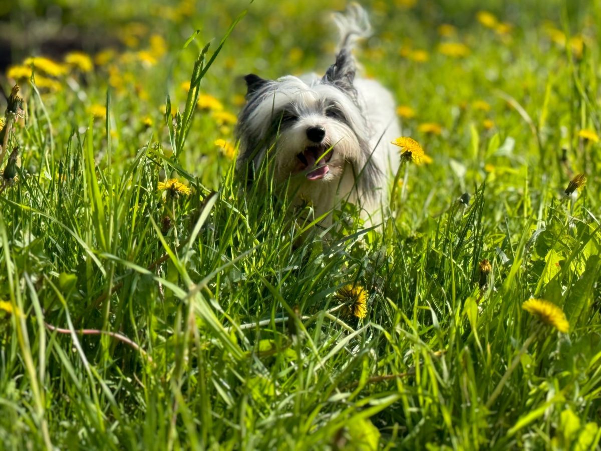 В четверг жители Тульской области смогут забыть о теплых вещах