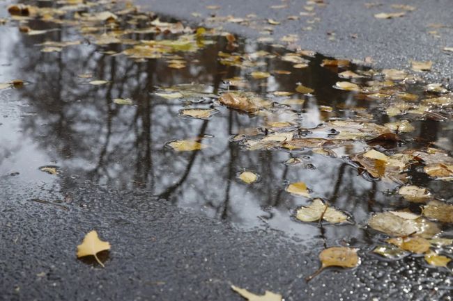 Пониженное атмосферное давление и дожди ожидаются в Тульской области 13 октября Пониженное атмосферное давление и дожди ожидаются в Тульской области 13 октября