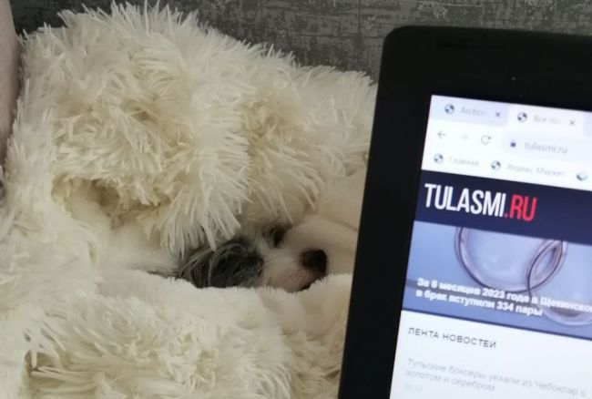 Тулякам пора доставать перчатки и зимнюю обувь Тулякам пора доставать перчатки и зимнюю обувь