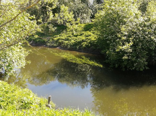 Тульская область готова участвовать в пилотном проекте РЭО по экомониторингу