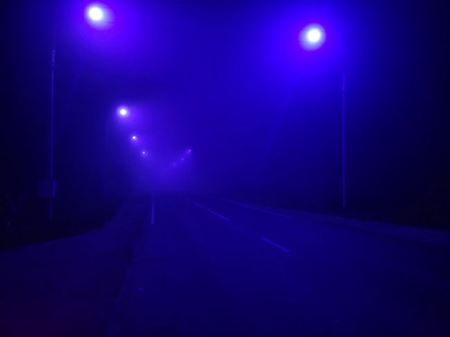 В Тульской области видимость ограничит плотный туман В Тульской области видимость ограничит плотный туман