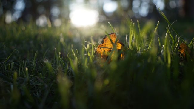 Выходные в Тульской области будут дождливыми