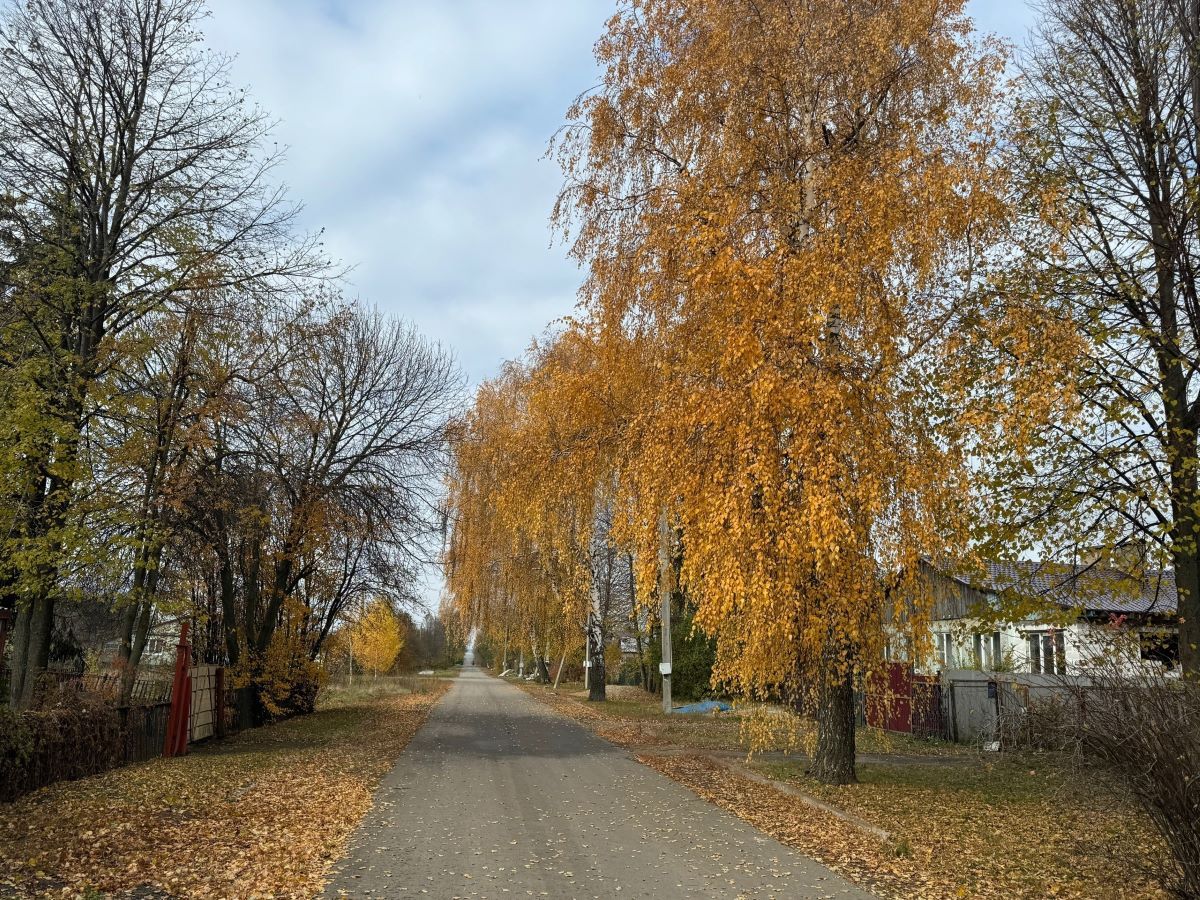 Очередной ноябрьский день не принесет осадков жителям Тульской области Очередной ноябрьский день не принесет осадков жителям Тульской области