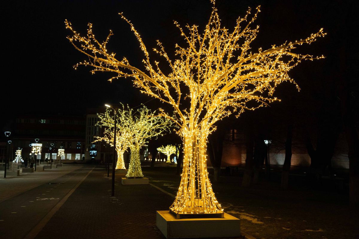 Жители Тулы рассказали, как мечтают провести новогодние каникулы