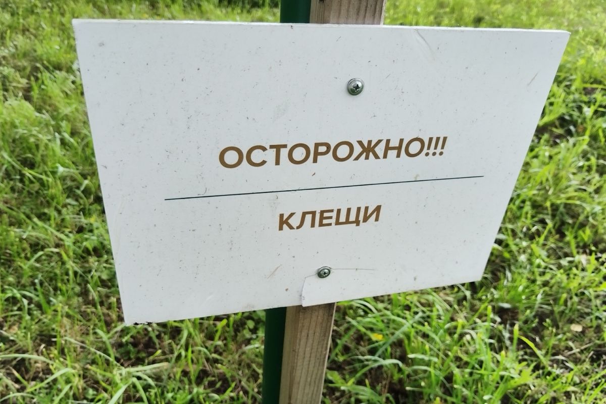 Жители Тульской области остаются целью нападения клещей