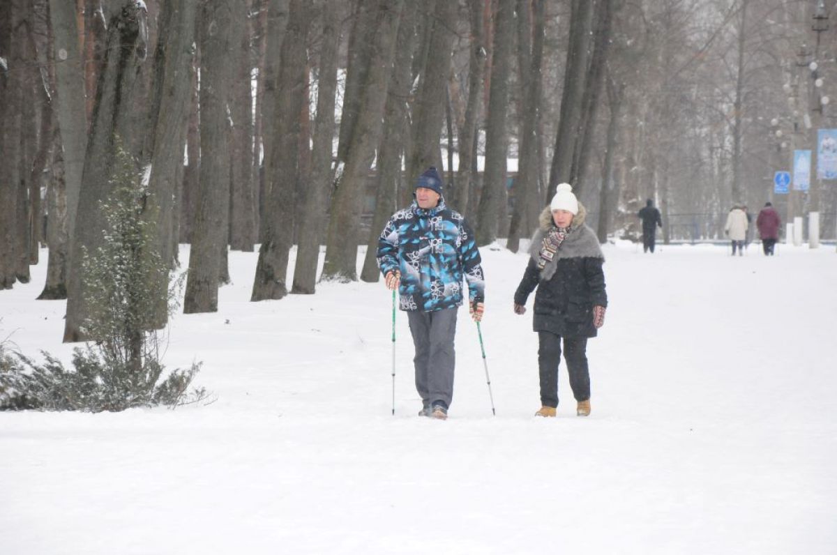 Жителям Тульской области предлагают пробежать по «Первой дорожке» Жителям Тульской области предлагают пробежать по «Первой дорожке»