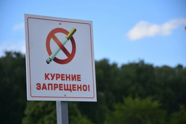 В Тульской области утонул 19-летний парень В Тульской области утонул 19-летний парень