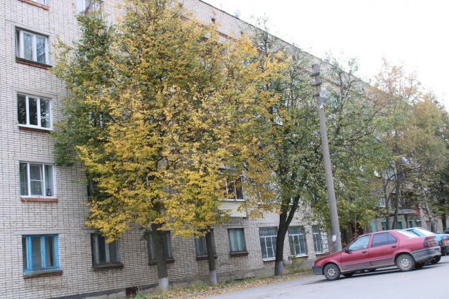 Жителей поселка Первомайского Тульской области переселят из аварийного жилья Жителей поселка Первомайского Тульской области переселят из аварийного жилья