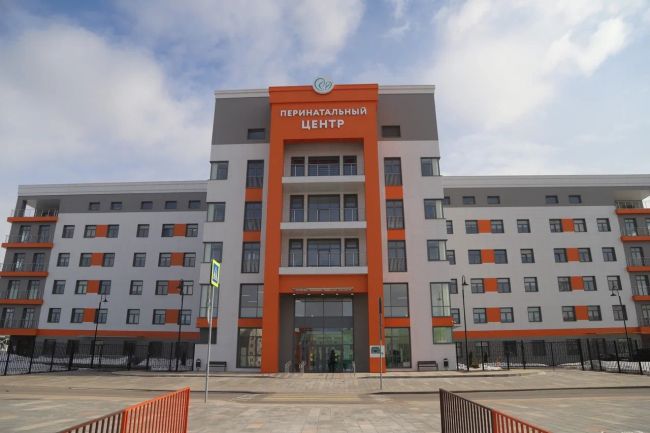 В августе в Тульской области родились Устинья, Яромир и Феврония В августе в Тульской области родились Устинья, Яромир и Феврония