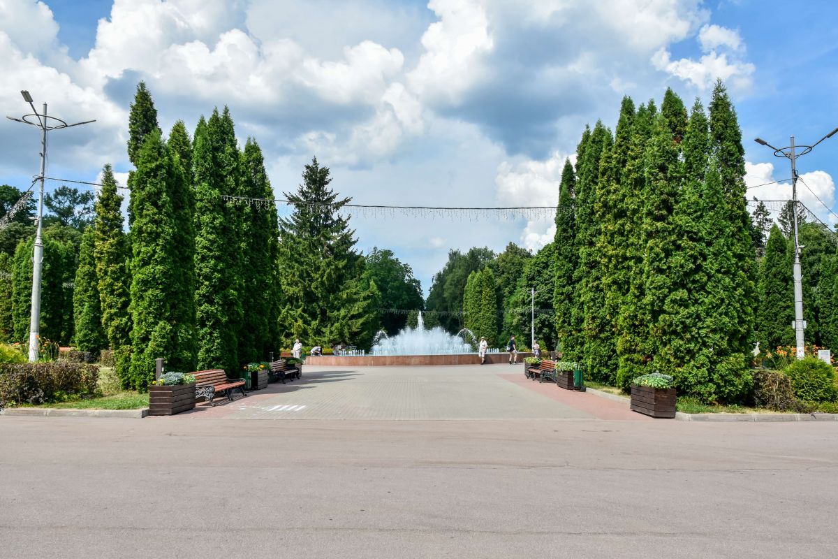 В Тульской области эксперты рассказали, как сохранить леса здоровыми