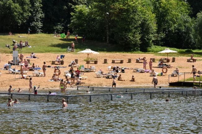 В Центральном парке Тулы пляжную зону увеличат в 2,5 раза