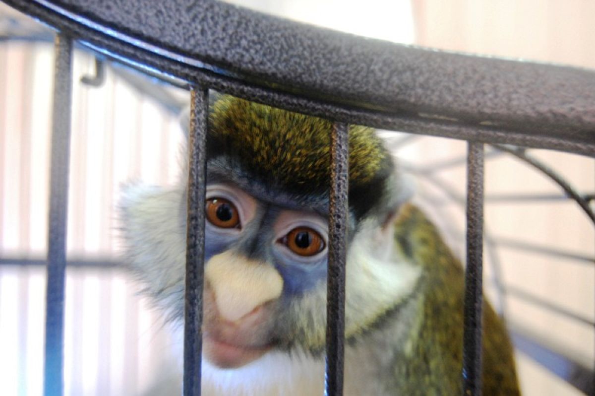 Тульские строители помогают восстанавливать зоопарк Мариуполя Тульские строители помогают восстанавливать зоопарк Мариуполя