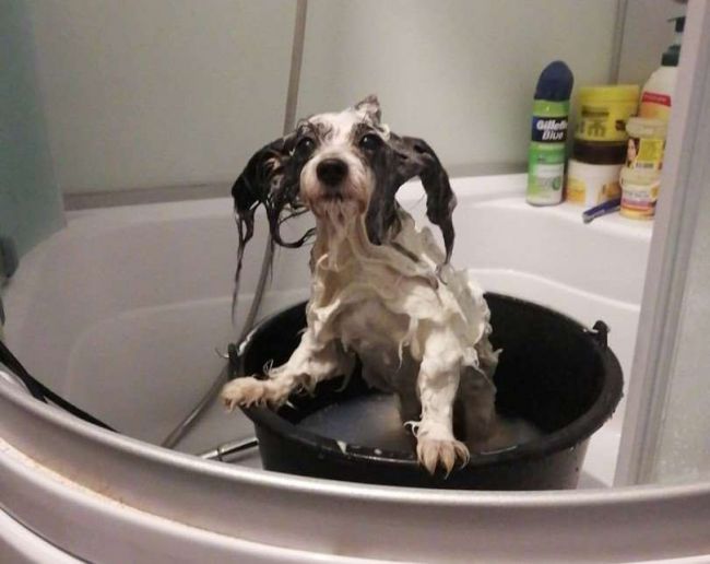 Часть домов на улице Фрунзе в Туле осталась без воды Часть домов на улице Фрунзе в Туле осталась без воды