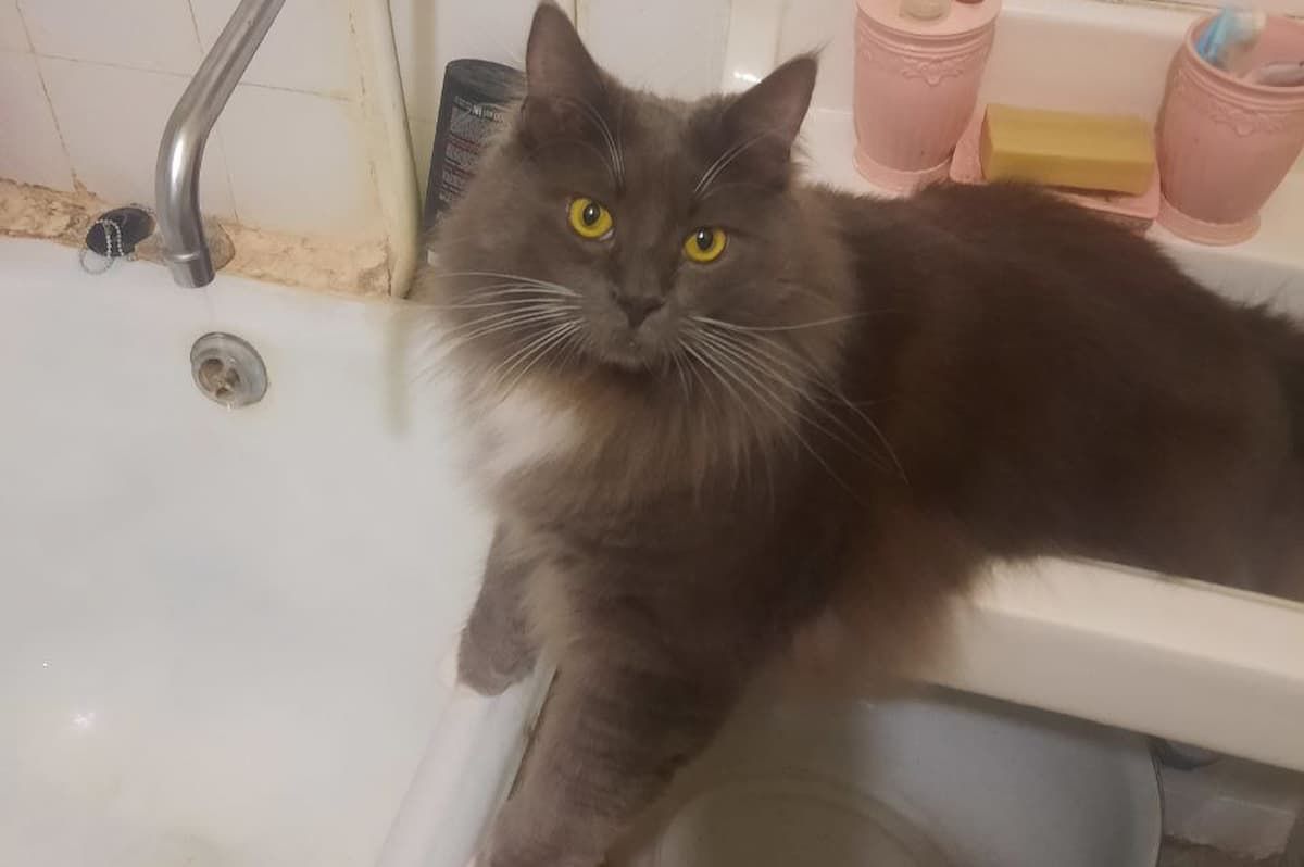 В четверг часть Заречья останется без воды В четверг часть Заречья останется без воды