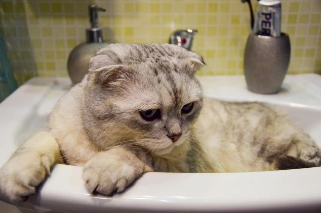 В Туле устраняют три аварии на водоводе В Туле устраняют три аварии на водоводе